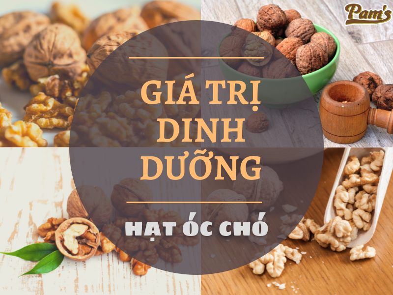 dinh-duong-trong-hat-oc-cho