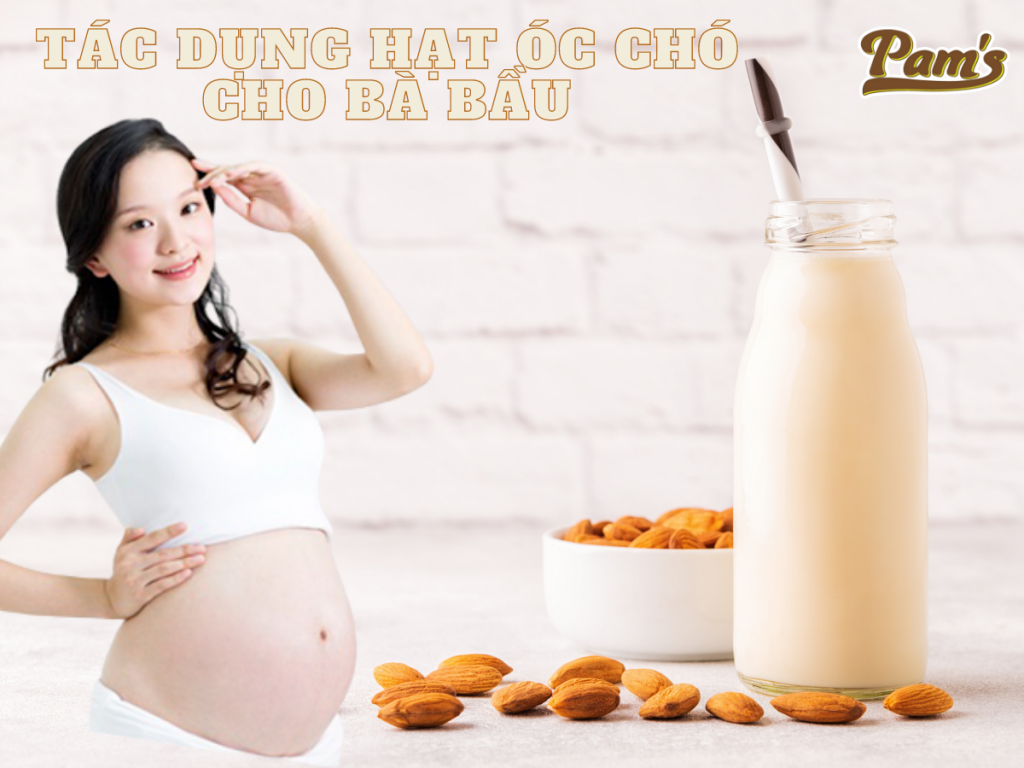hat-oc-cho-co-tac-dung-gi-cho-ba-bau